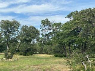 4051 County Road 336, Bertram, TX 78605