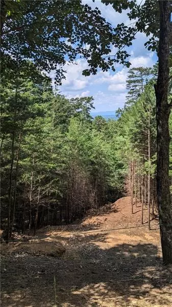 Jasper, GA 30143,56 Oglethorpe Mountain Trail