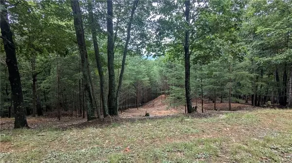 Jasper, GA 30143,56 Oglethorpe Mountain Trail