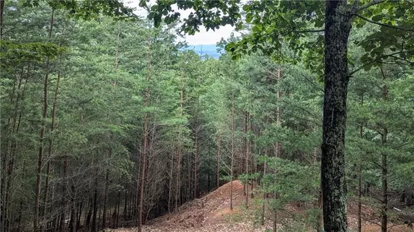 Jasper, GA 30143,56 Oglethorpe Mountain Trail