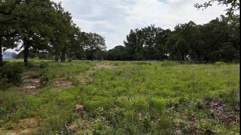 Glen Rose, TX 76043,TBD CR 2030 Lot 7