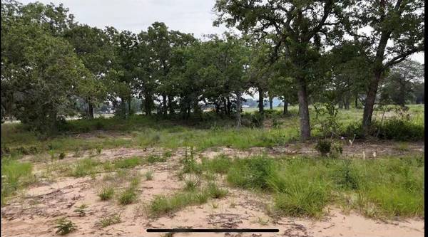 Glen Rose, TX 76043,TBD CR 2030 Lot 7