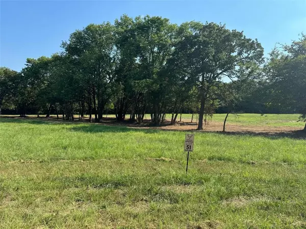 Pottsboro, TX 75076,Lot 78 Buck Trail Road