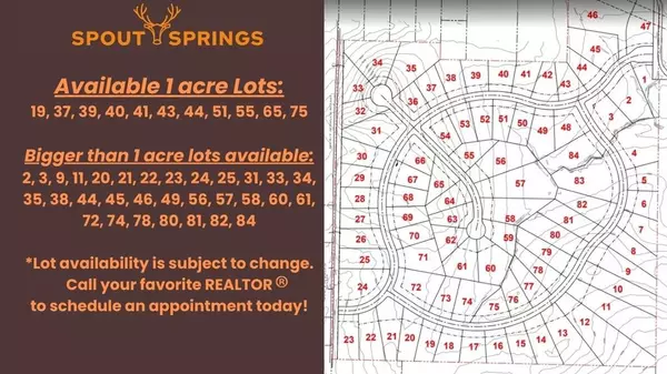 Pottsboro, TX 75076,Lot 81 Spout Springs Road