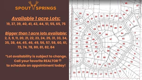 Pottsboro, TX 75076,Lot 81 Spout Springs Road