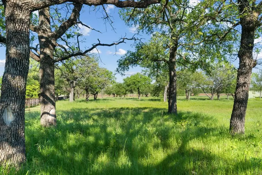 0000 Austin Road, Perrin, TX 76488