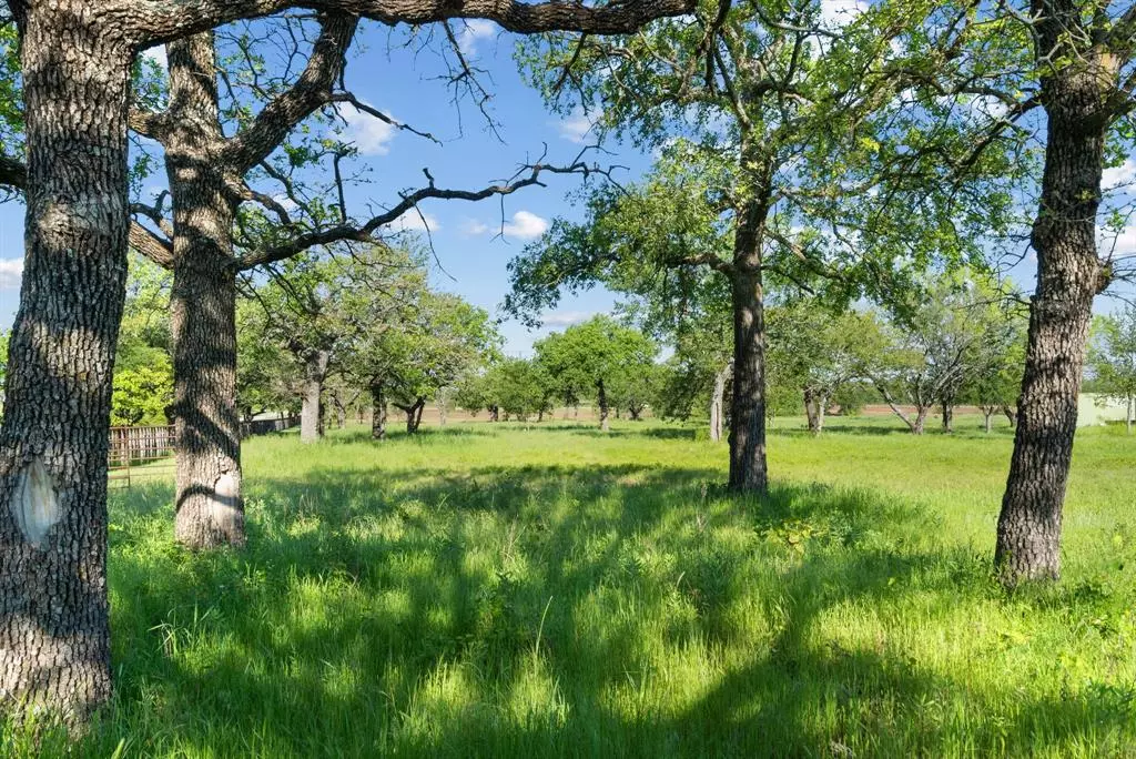 Perrin, TX 76488,0000 Austin Road