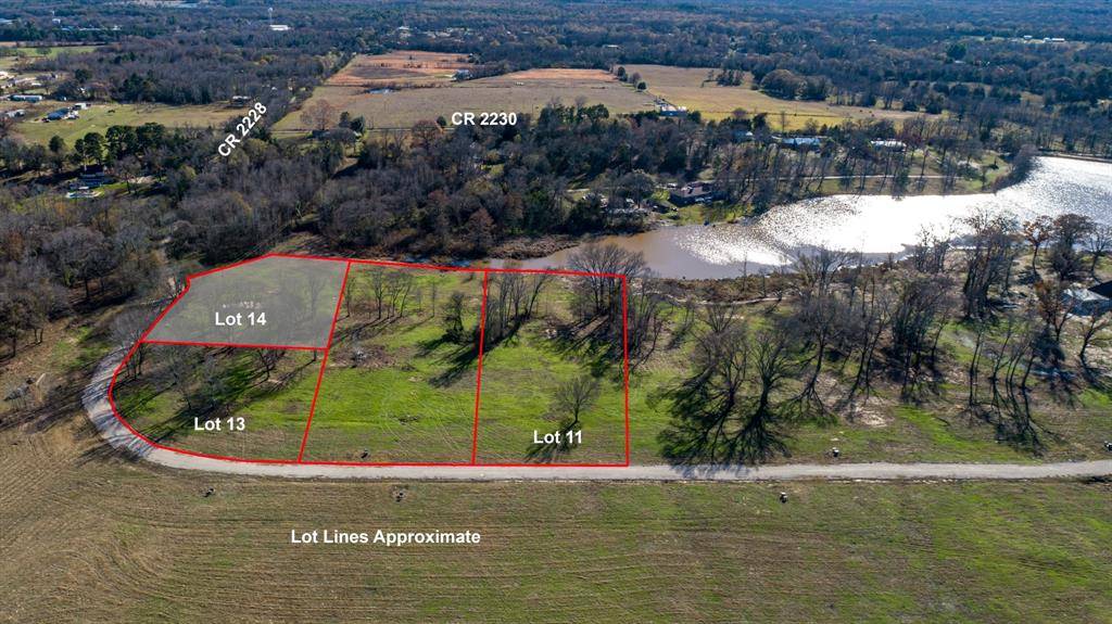 Mineola, TX 75773,Lot 14 CR 2228