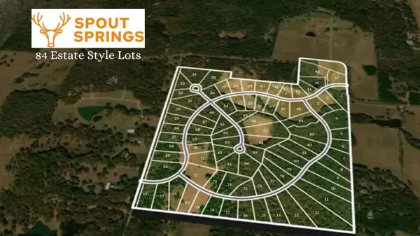 Pottsboro, TX 75076,Lot 84 Spout Springs Road