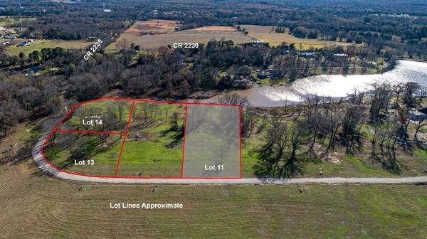 Mineola, TX 75773,Lot 11 CR 2228