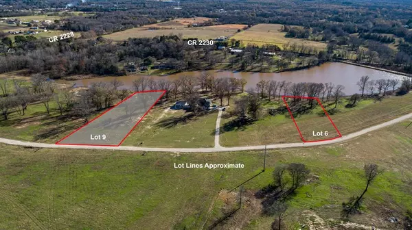 Mineola, TX 75773,Lot9 CR 2228