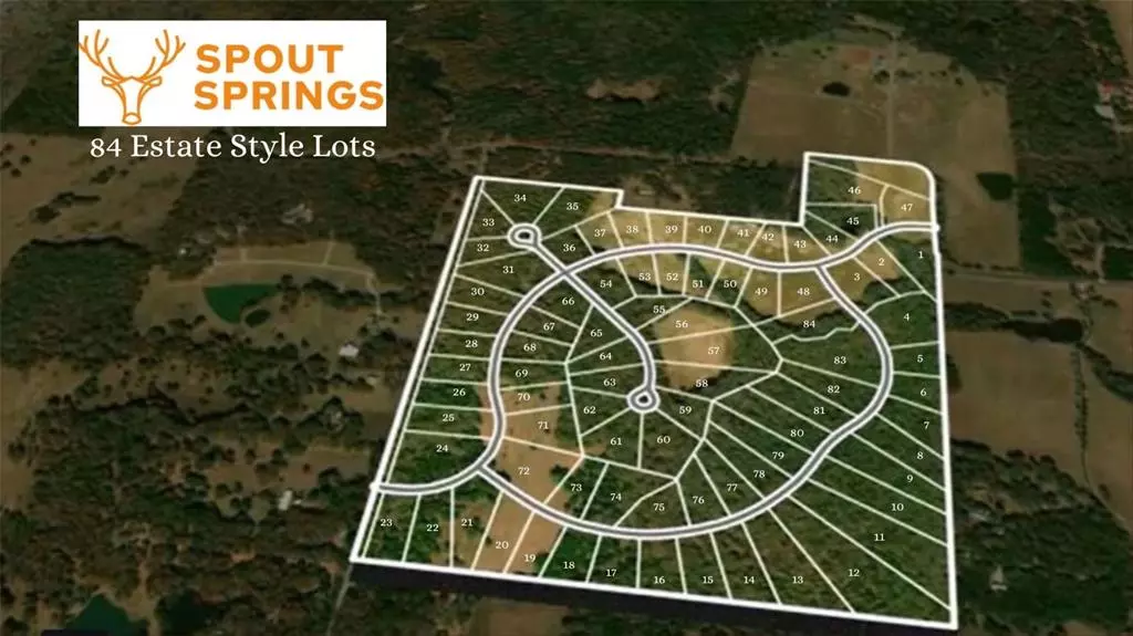 Pottsboro, TX 75076,Lot 49 Spout Springs Road