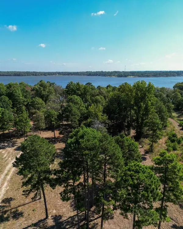 Larue, TX 75770,3146 Shadow Pine Drive