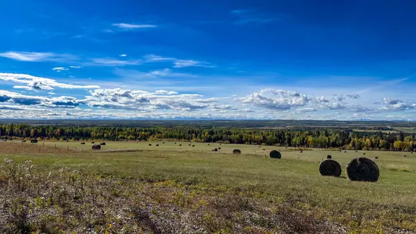 Rural Mountain View County, AB T0M1X0,31479 Range Road 52