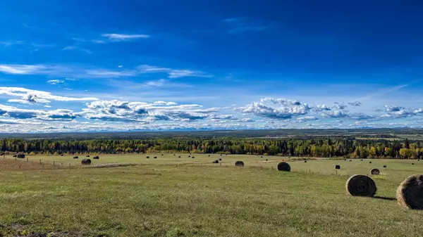 Rural Mountain View County, AB T0M1X0,31479 Range Road 52