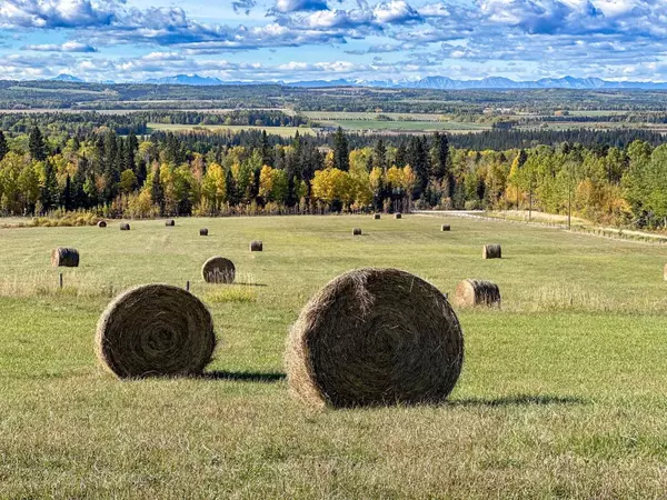 Rural Mountain View County, AB T0M1X0,31479 Range Road 52