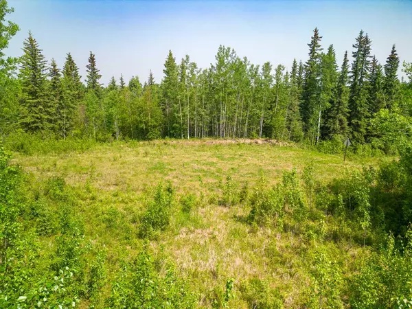 Rural Woodlands County, AB T7S 1N9,Lot 16 Estates of East Mountain