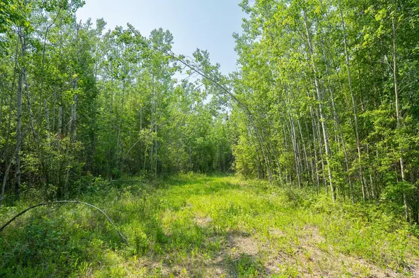 Rural Woodlands County, AB T7S 1N9,Lot 16 Estates of East Mountain