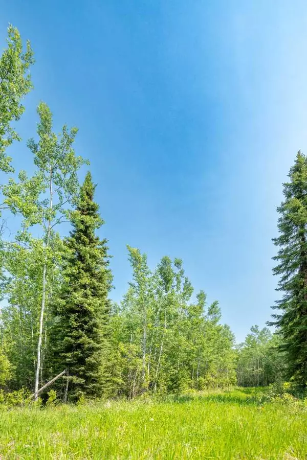 Rural Woodlands County, AB T7S 1N9,Lot 16 Estates of East Mountain