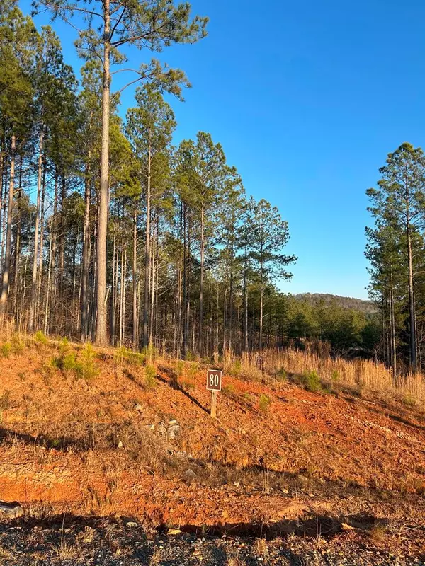 LT 80 Seven Mile Creek Road, Talking Rock, GA 30175