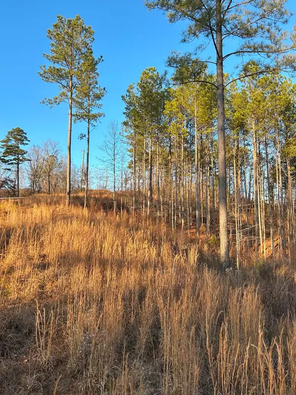 Talking Rock, GA 30175,LT 80 Seven Mile Creek Road