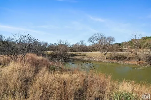 Comanche, TX 76442,Lot 7 & 8 Lake Point Road