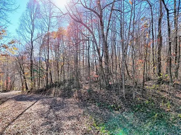 Hayesville, NC 28906,Lot 11 Noel Ridge