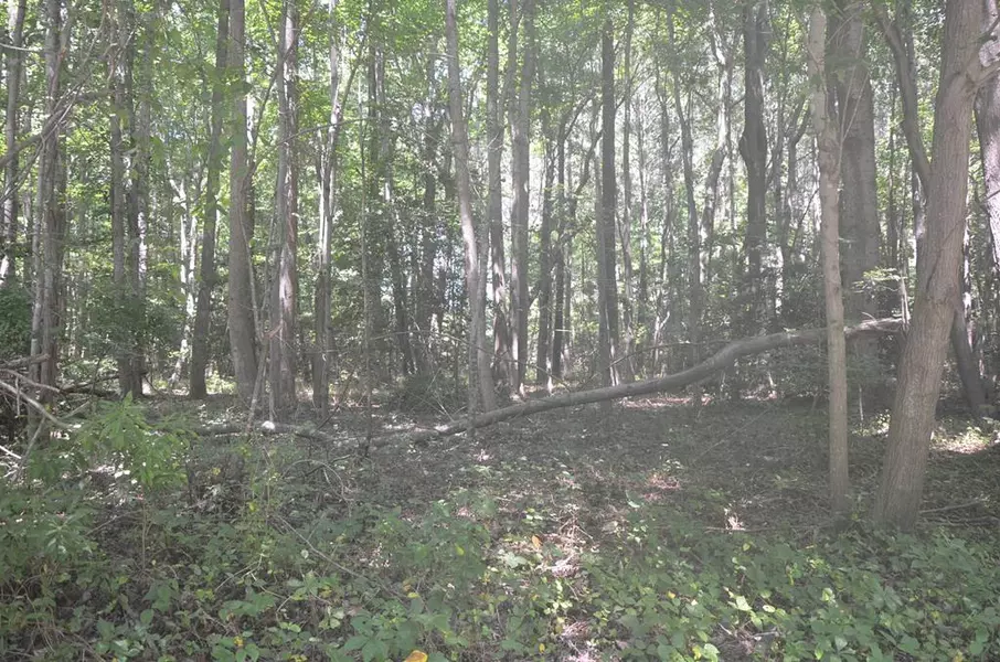 Lot 23 Prentice Point DR, Kilmarnock, VA 22482