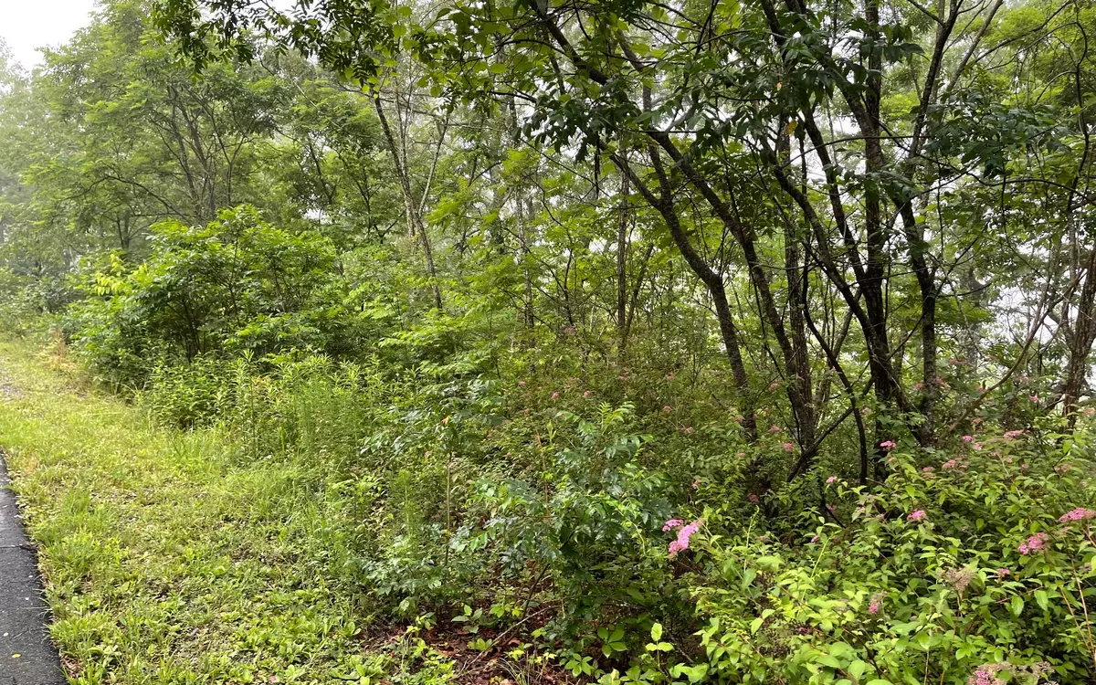 Hayesville, NC 28904,LOT 7 Trillium Heights