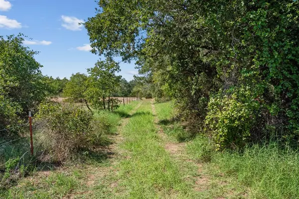 Cross Plains, TX 76443,TBD County Road 445