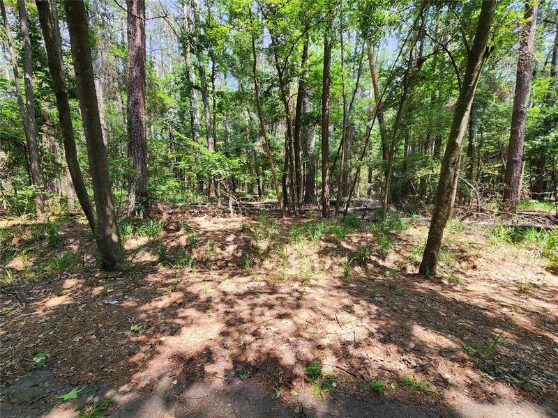 Lot 37 Whipporwill Lane, Mount Vernon, TX 75457