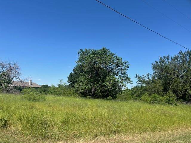 1213 Overlook Court, Whitney, TX 76692