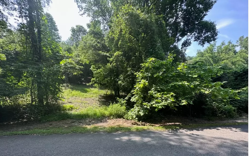 Ellijay, GA 30536,Lot 106 West River Trace