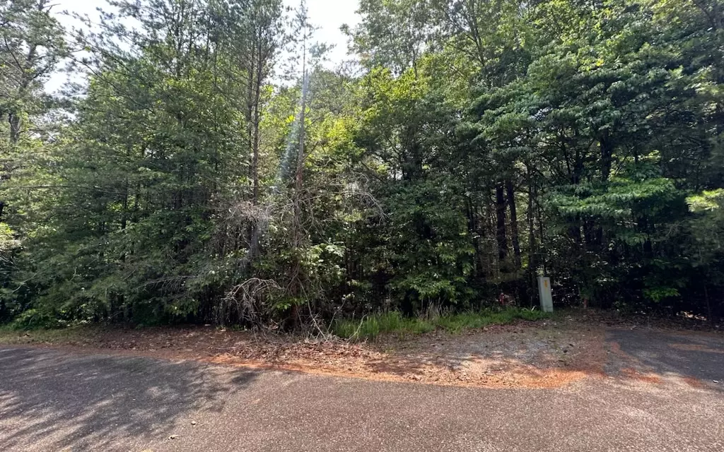 Ellijay, GA 30536,8,13 Ovaline Trail