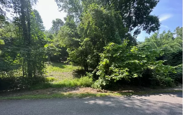 Lot 106 West River Trace, Ellijay, GA 30536