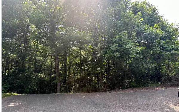 lot 6 Ovaline Trail, Ellijay, GA 30536