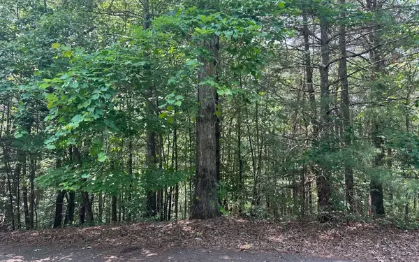 Lot 28 Aspen Avenue, Ellijay, GA 30540