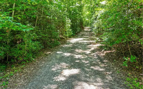 Hayesville, NC 28904,0 Sawyer Cove Road