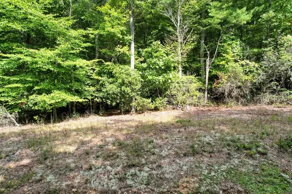 Blairsville, GA 30512,19.5AC Mason Road