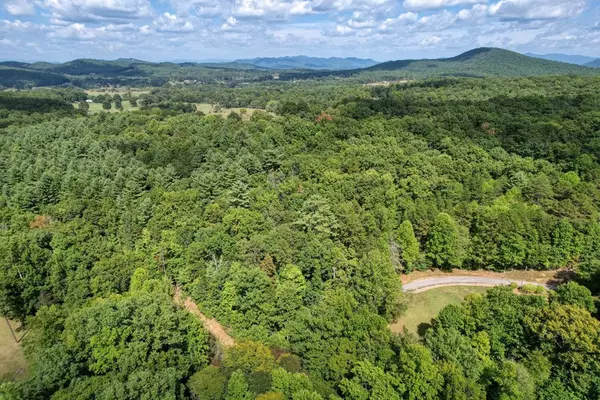 Blairsville, GA 30512,19.5AC Mason Road