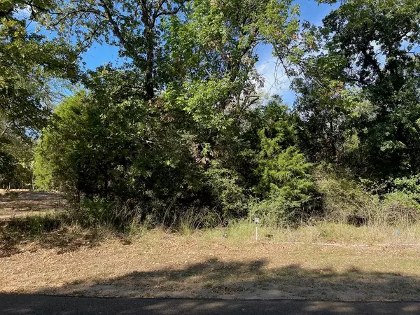 Streetman, TX 75859,Lot 165 Stonewall Drive