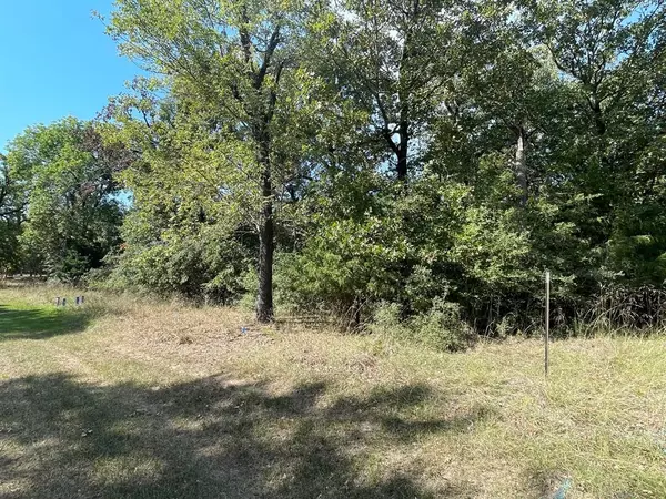 Streetman, TX 75859,Lot 166 Stonewall Drive