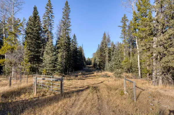 Rural Rocky View County, AB T4C 2W1,20.01 Acres Twp Rd 282