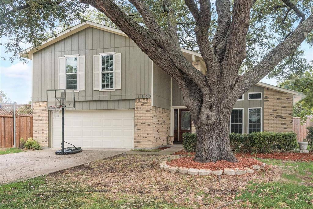 Richardson, TX 75081,1603 Richforest Drive