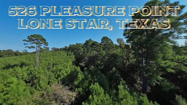 Avinger, TX 75668,526 Pleasure Point