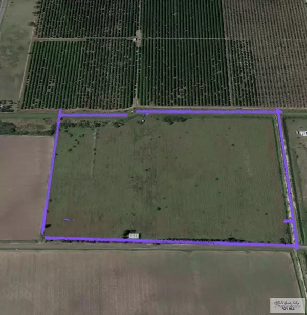 50.136 ACRES FM 803, Rio Hondo, TX 78566