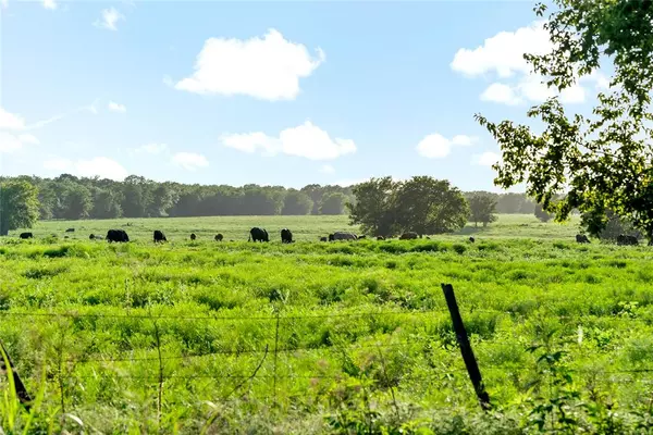 Lake Creek, TX 75450,0000 County Road 1230