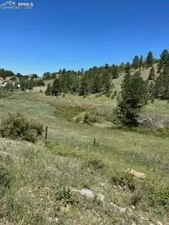 521 Monarch DR, Cripple Creek, CO 80813