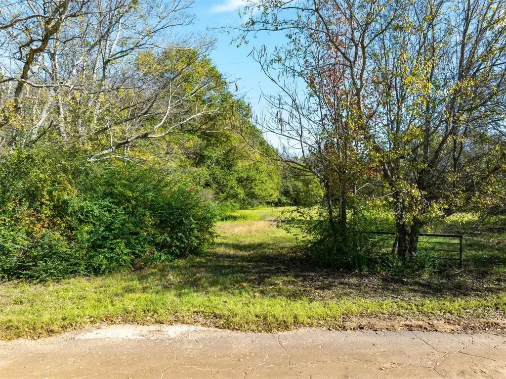 Van, TX 75790,TBD VZ County Road 1502