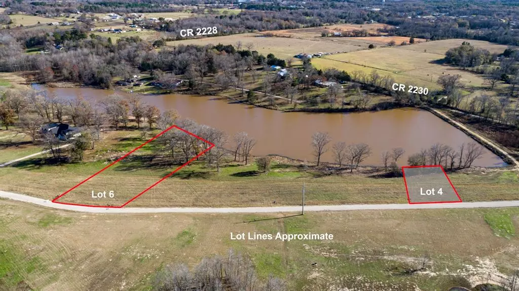 Mineola, TX 75773,lot 4 CR 2228